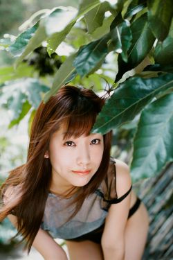 幸福像花儿一样剧情