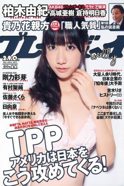 美式主妇