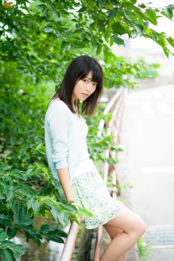 蘑菇影视